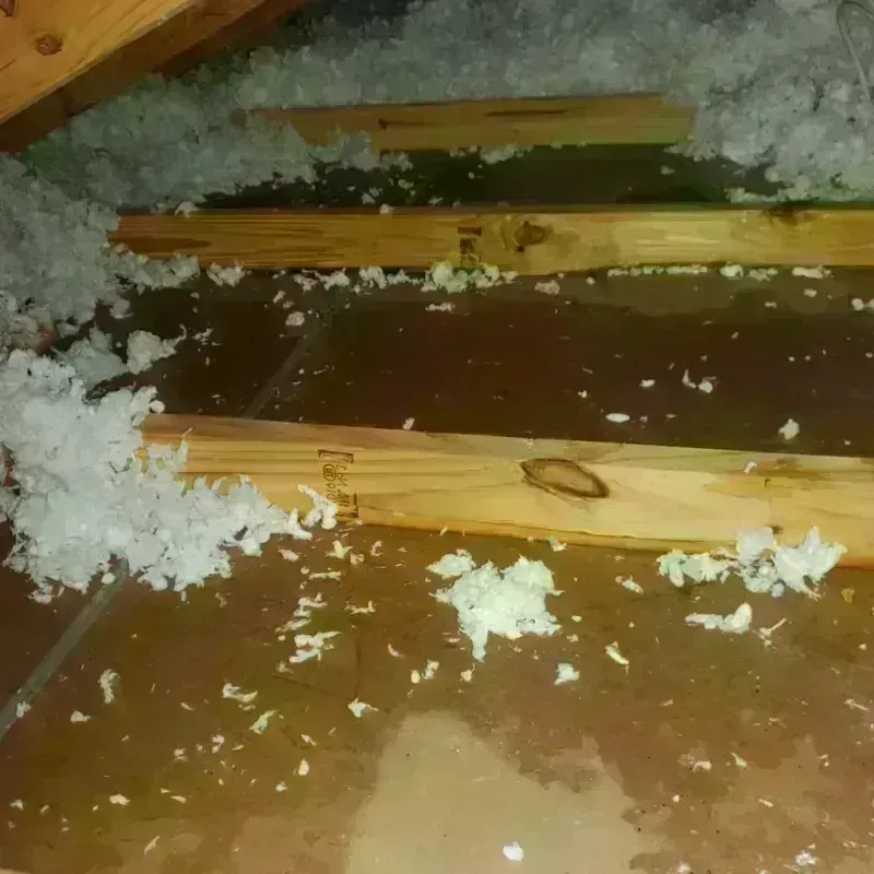 Attic Water Damage in Scenic, AZ