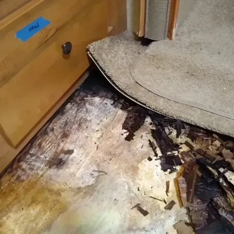 Wood Floor Water Damage in Scenic, AZ